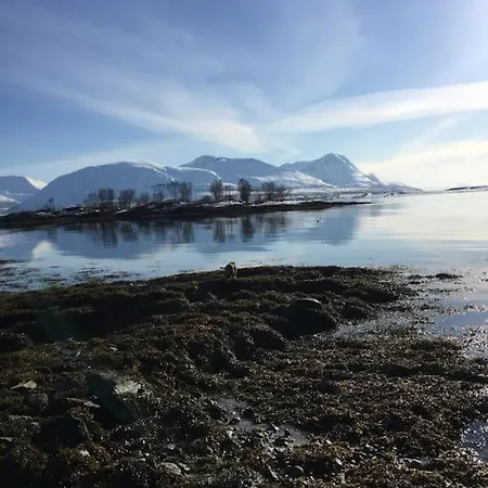 Modern Countryside Leilighet *