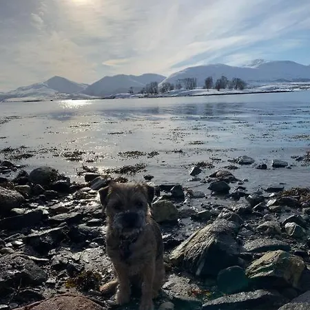 Modern Countryside Leilighet